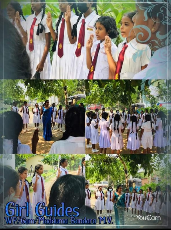 බාල දක්ෂිකා ඒකකය