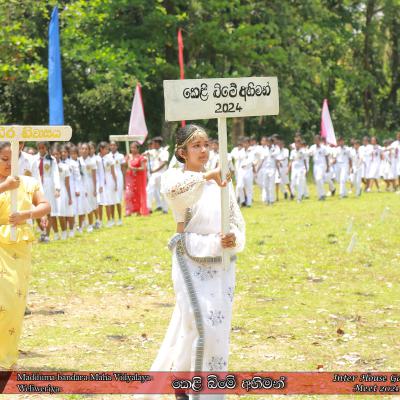 448372375 1964465517306364 6830884326949349533 N